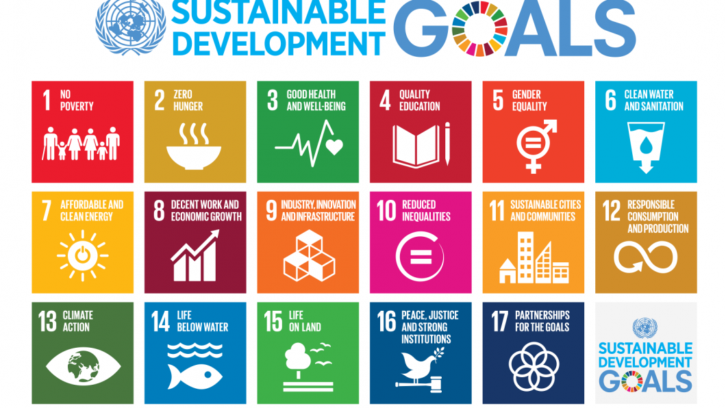 Duurzame ontwikkelingsdoelen