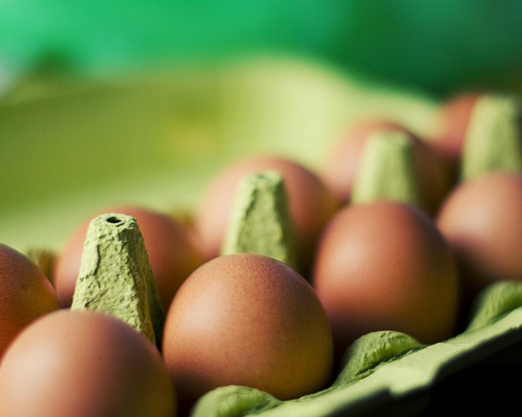 eieren.jpg