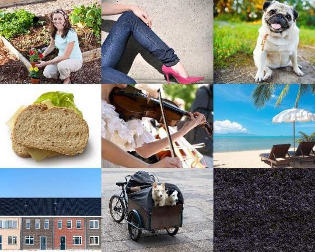 fujifilm-finepix40i_1 (3)_800.jpg